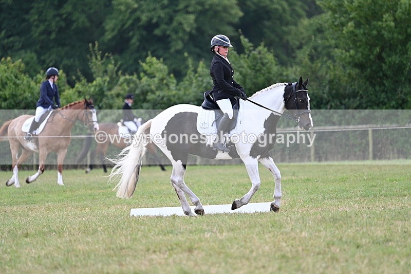 WJ7_5274 - Time 11:22 to 11:51