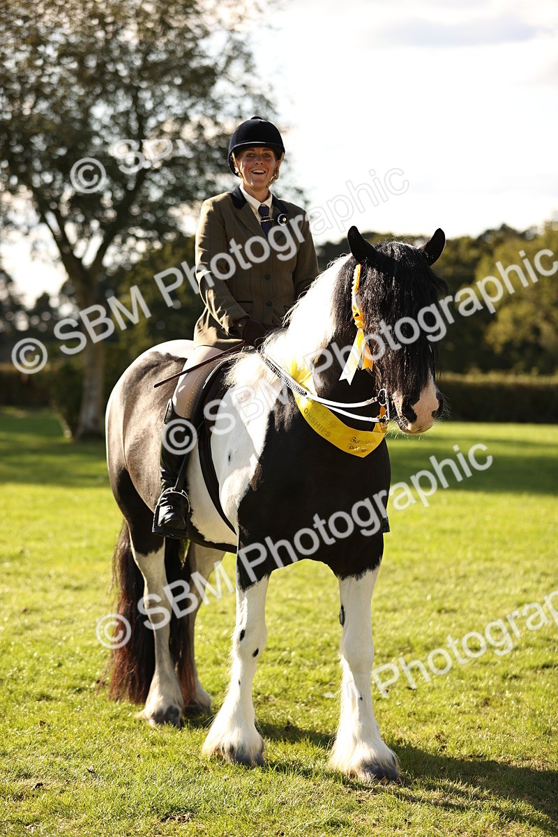 SBM_26472 - S6 - Novice & Newcomers Ridden Horse