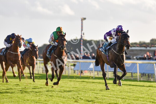 yr07102022r6-31 - Race 6 5.00pm William Hill Lengthen Your Odds EBF Novice Stakes