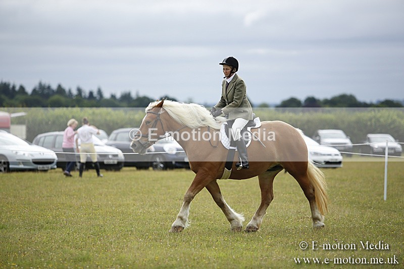 BVR160717-276 - Ring 1 BVRC Show 16/07/17