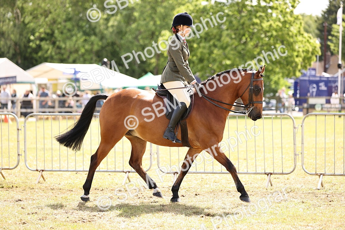 SBM_14522 - Class 88-89 - LIHS BSHA Rising Star of Ridden Hunter Type
