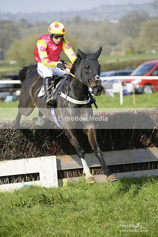 PtP 200322 385 - Mendip Farmers Point-to-Point 20/03/22