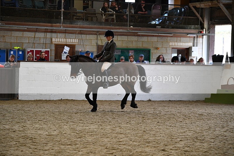 WJ5_6181 - Class 9 Ridden Veteran