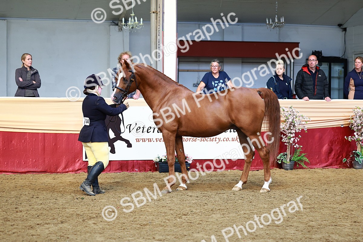 SBM_22376 - Class 902 - Supreme Final - IH Diamond