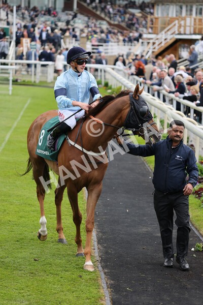 yr13052022r3-19 - Race 3 3.00pm Paddy Power 'I Love Steak' Stakes
