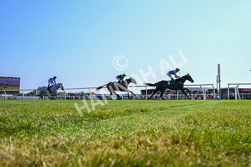 150726-Race 5-Naval Light-4238 - Race 5 16.10pm Try Racing TV For Free Now Handicap