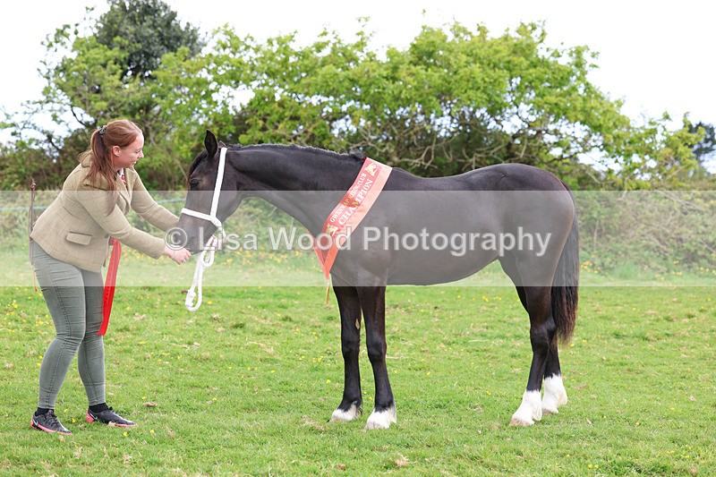 3E7A0921 - In Hand Championship