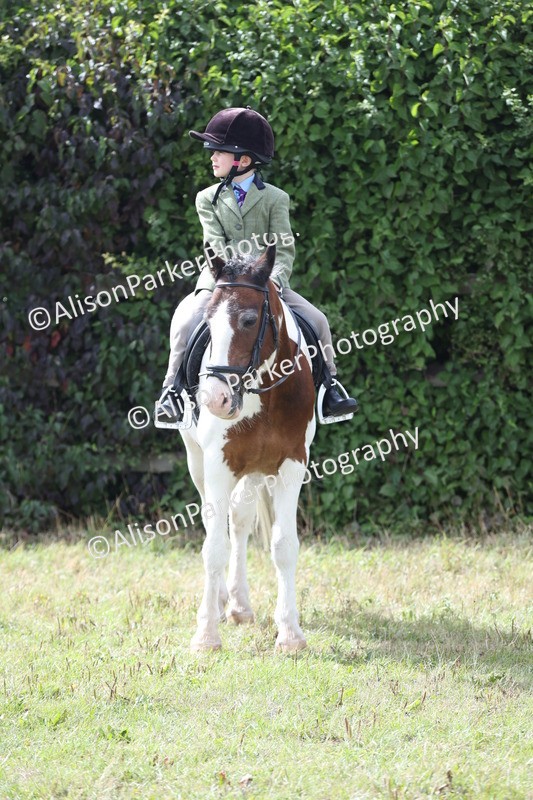 20250831-4332 - Class 20 - Ridden Coloured