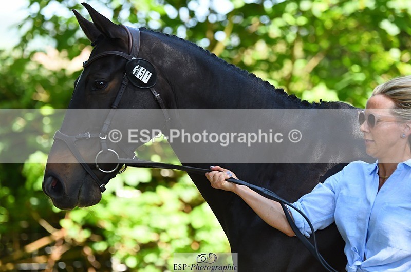 230524-152916-00303 - 351-TRINITY_CAVALIER-Henrietta_Horsley-gubbins-WEDTrotUp+DR