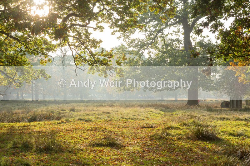 20161031-3K8A9043-2 - England