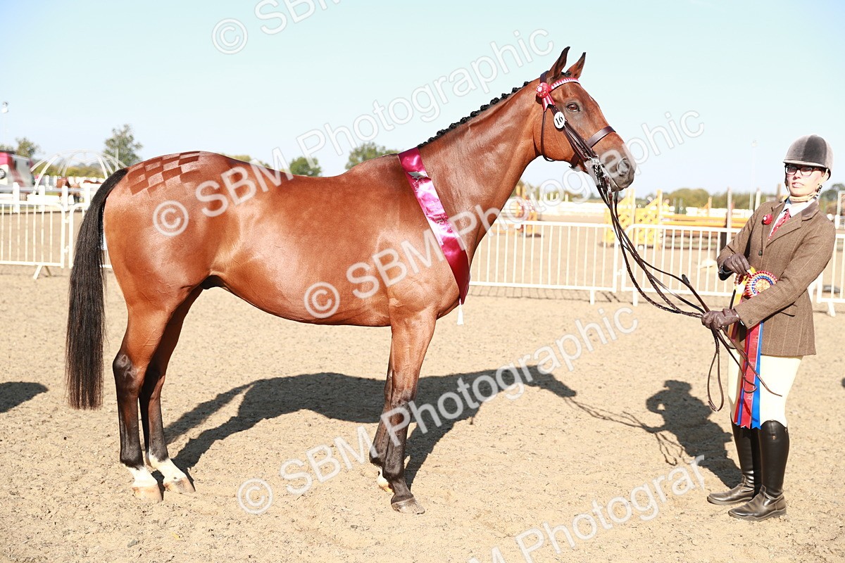 SBM_00109 - Class 40 Best Turned Out IH