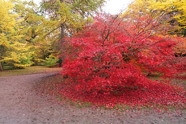  - Autumn