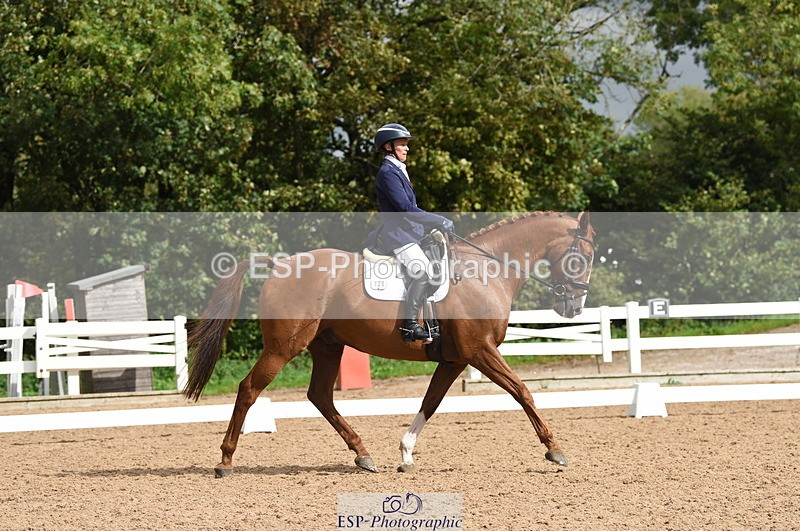 230912A-111230-00536 - Cls 7 Elementary 40