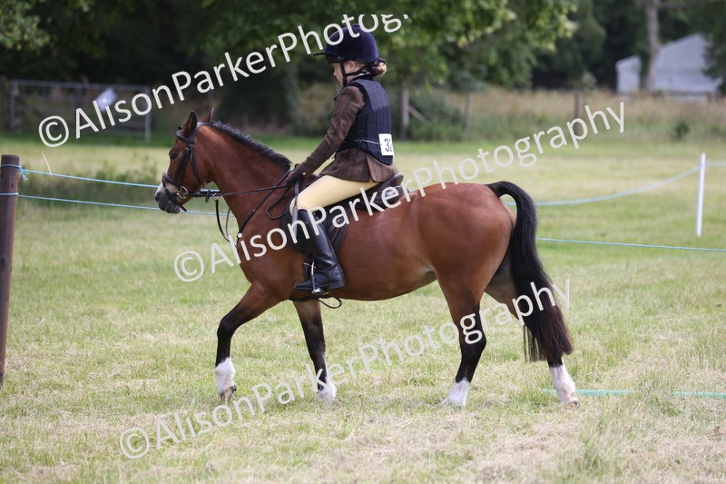 20260614-2107 - Class 21 - Novice Working Hunter Pony