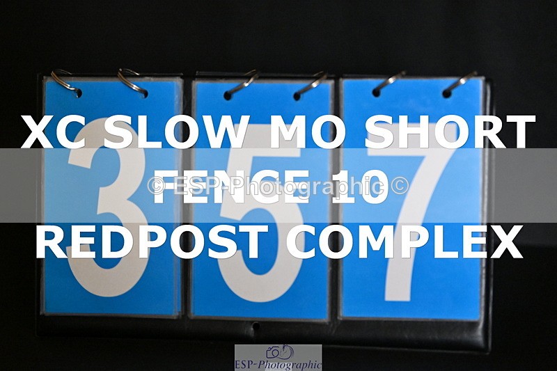 ESP_357 - D-357-Fenella.Redvers