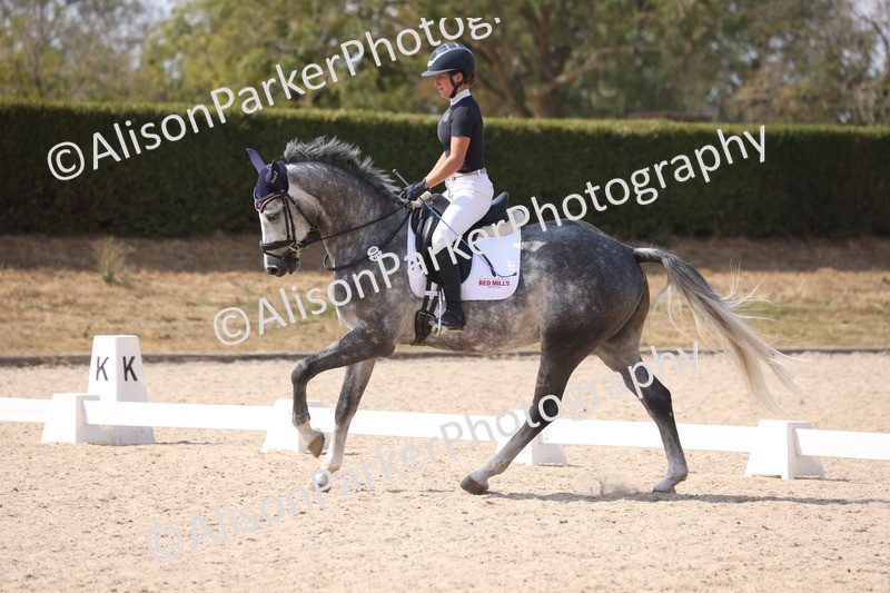 20260815-1021 - Class 5 - Novice 1
