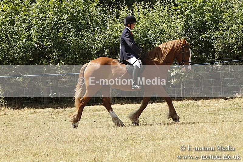 _BS_0734 - BVRC Show 2018 Ring 1