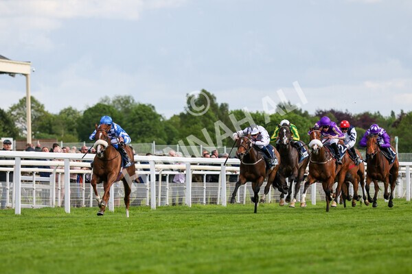 yr11052022r7-14 - Race 7 5.15pm British Stallion Studs EBF Novice Stakes