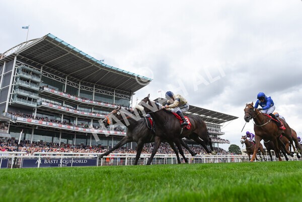 yr18082022r2-44 - Race 2 2.25pm Goffs UK Harry Beeby Premier Yearling Stakes