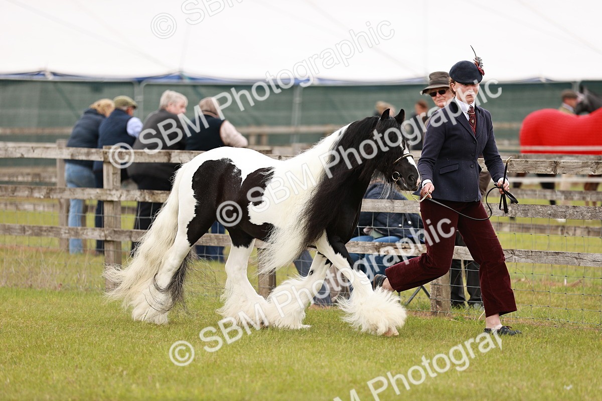 SBM_05966 - Class 39-41 TGCA In Hand and Ridden