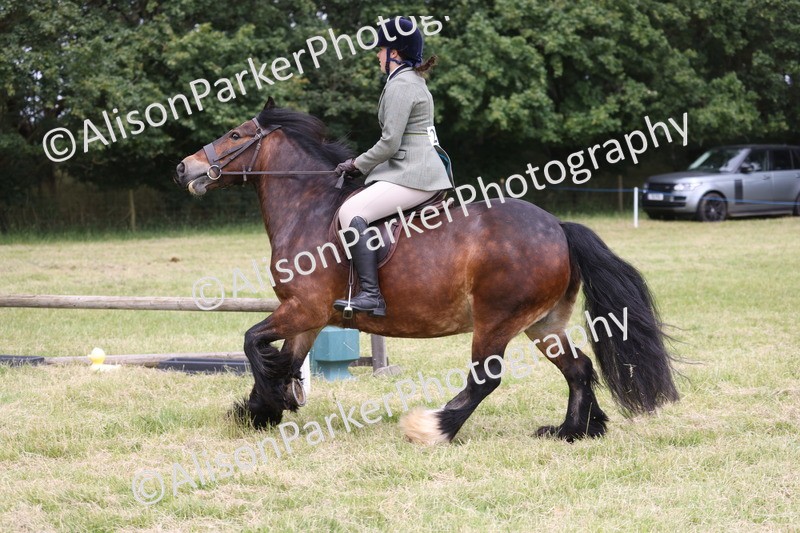 20260614-2939 - Class 22 - Open Working Hunter