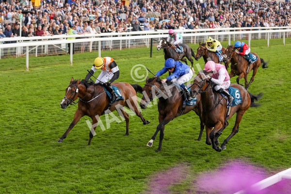 190523-Race 2-Sounds Of Heaven-7729 - Race 2 2.25pm Oaks Farm Stables Fillies' Stakes