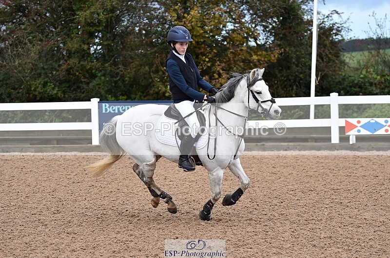 231029A-103502-02334 - 70cm Pony Intro