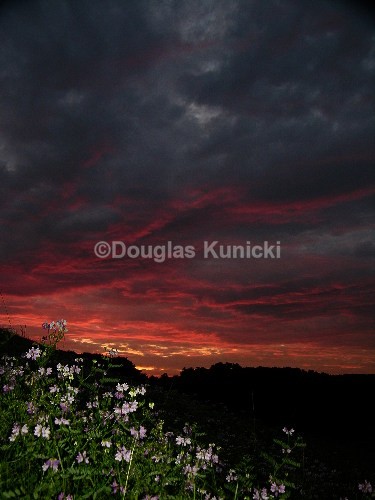  - Photos of the East