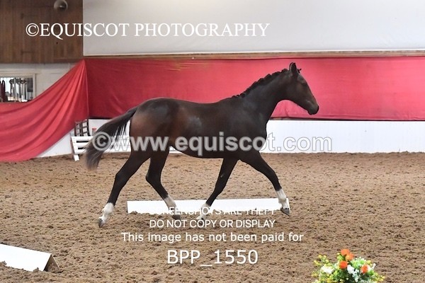 BPP_1550 - MORNING 9AM - 12PM