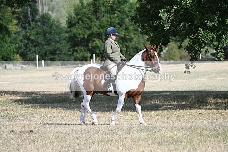 WJ7_2676 - Class 8 Ridden Tack & Turnout