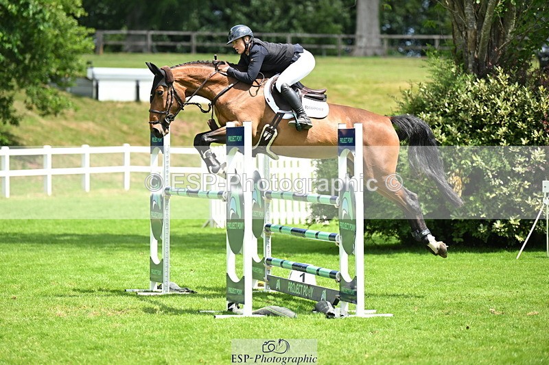 250614A-140202-07035 - Cls 20 Foxhunter