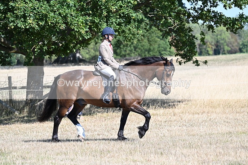 WJ7_3889 - Class 9 Mountain & Moorland Ridden