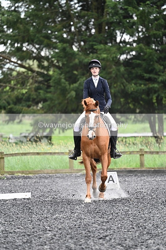 WJ7_1429 - Time 14:58 to 15:03