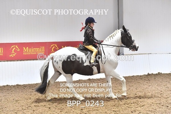BPP_0243 - RING 2