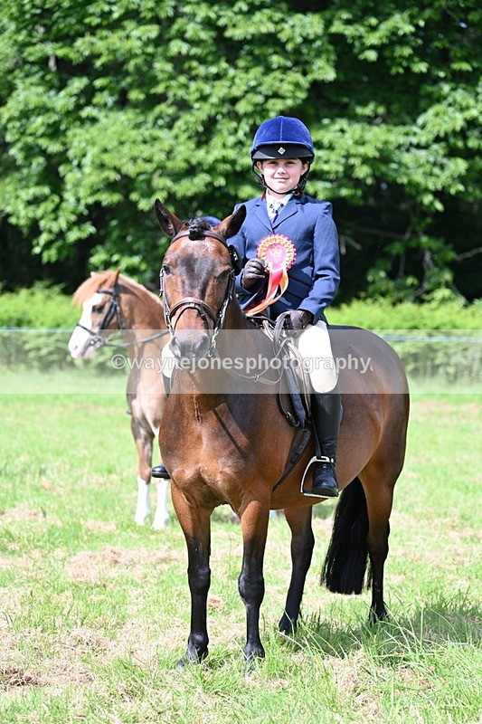 WJ7_0887 - Class 8 First Rally Pony