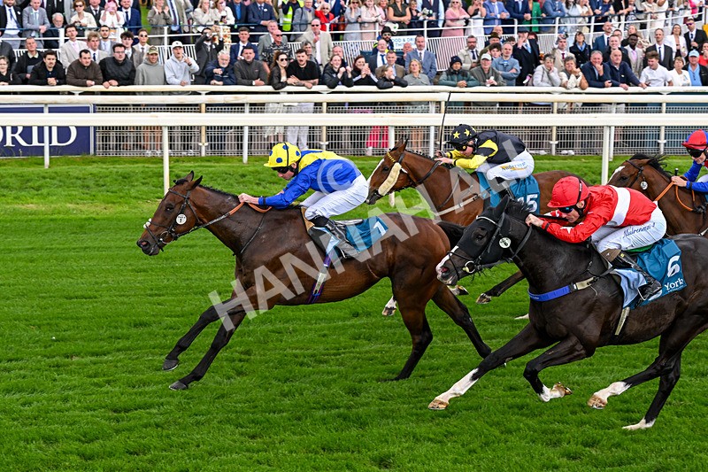 130626-Race 6-Point Of Contact-0650 - Race 6 16.50pm Ice Co Supporting Macmillan Handicap