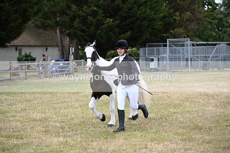 WJ6_4261 - Class 10 Coloured In-hand