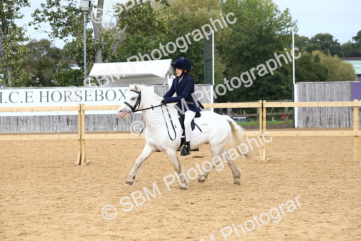 SBM_68117 - J3b - Mini Tour Junior Pony 40cm Championship
