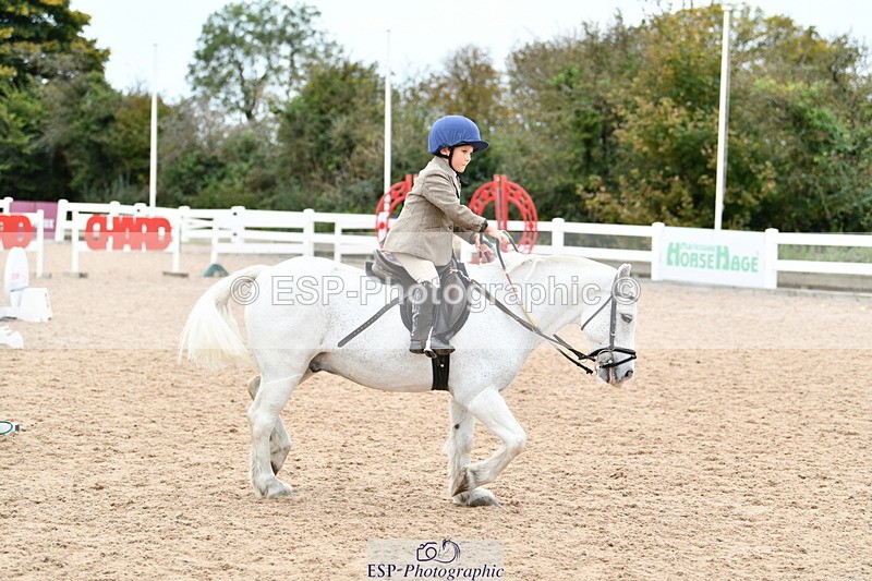 241013B-124058-00997 - Cls 3 50cm