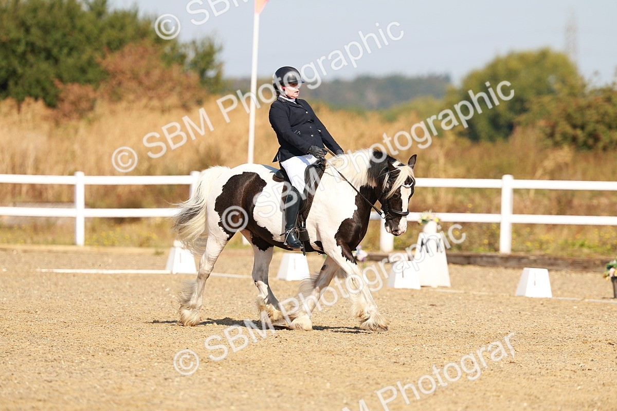 SBM_016757 - Class 9 - N5 Bronze 9.30.10.19