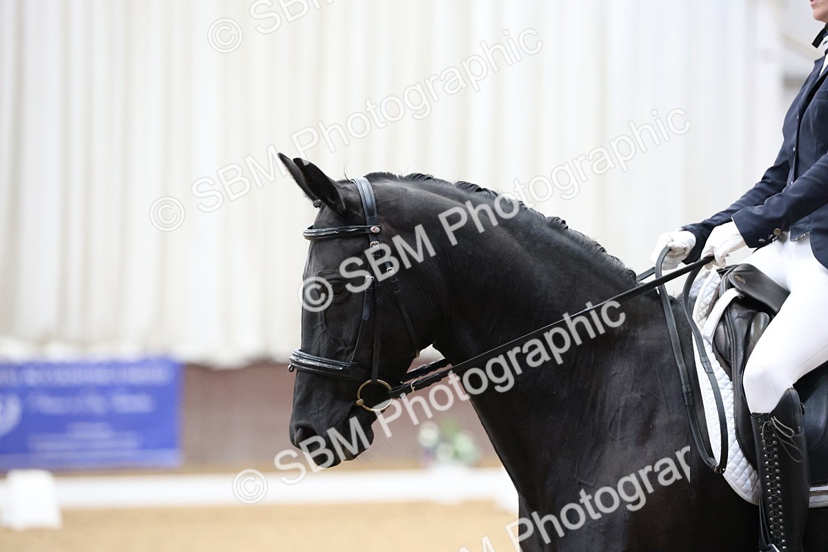 SBM_006767 - Class 22 - Medium 5 Silver