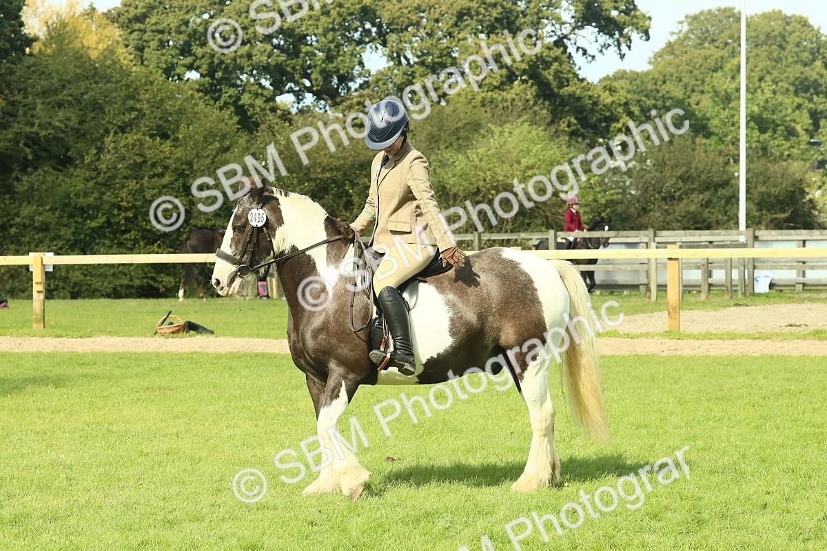 SBM_67527 - S56 - Coloured Pony Ridden
