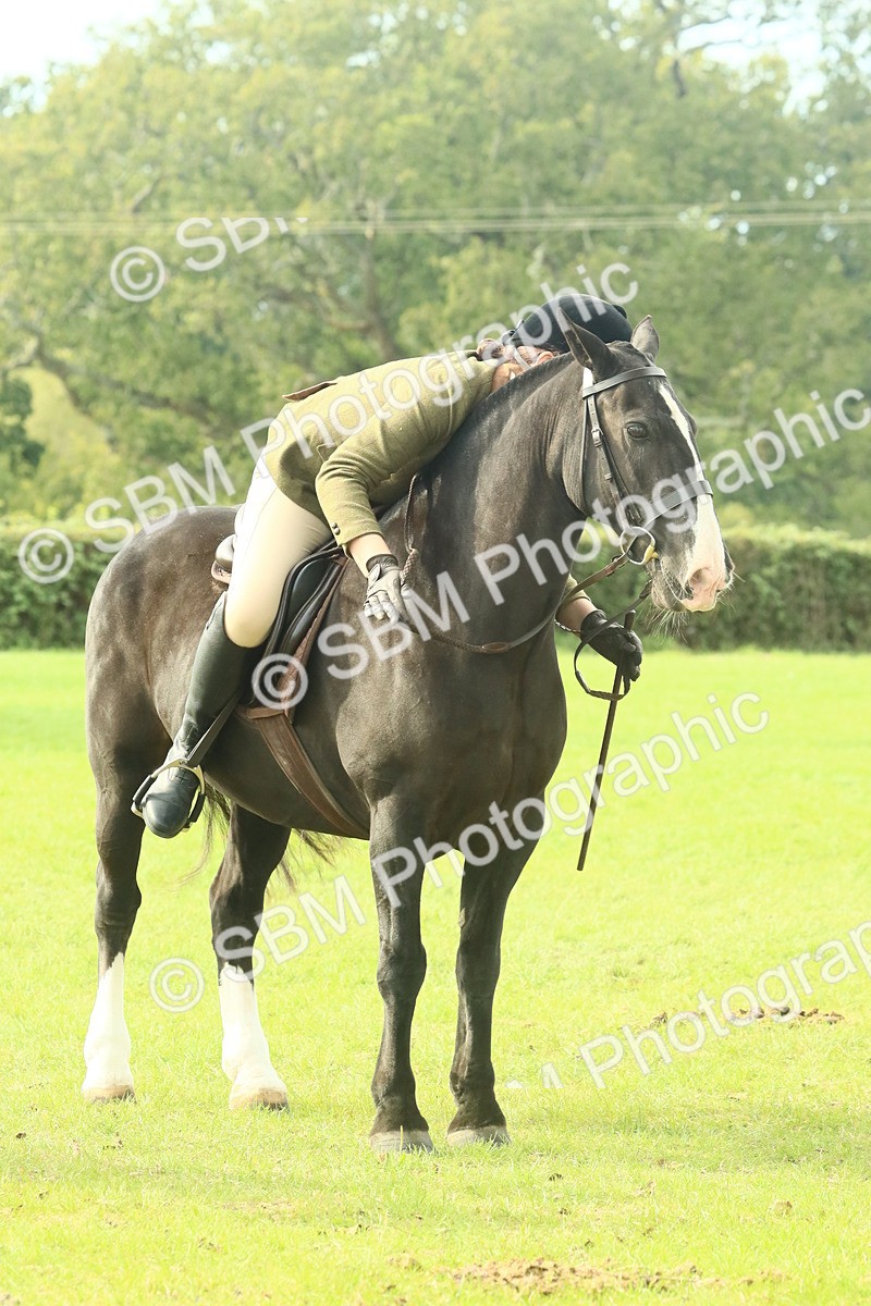 SBM_69373 - S58 - Mini Show Cob Ridden