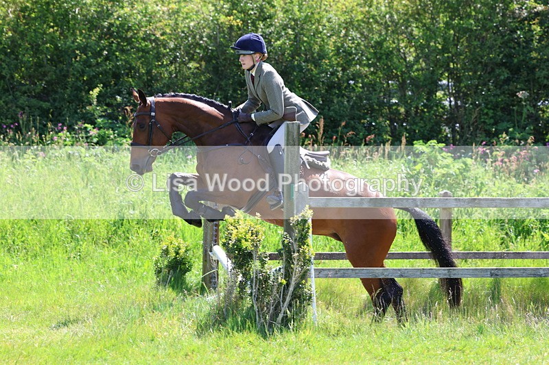 3E7A6981 - Class 30: Novice Working Hunter
