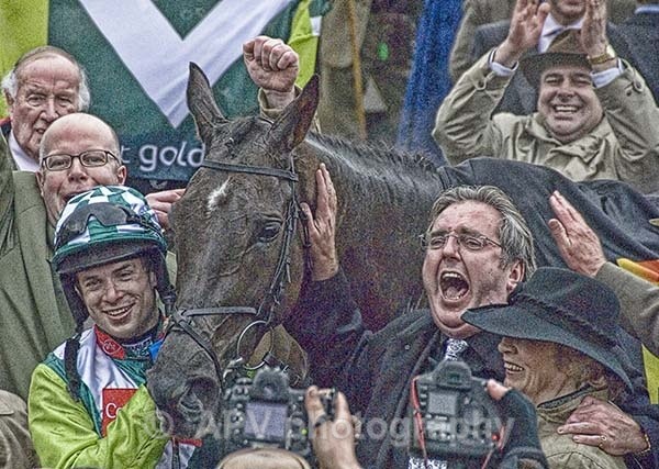 Gold Cup Victory for Denman - Sporting