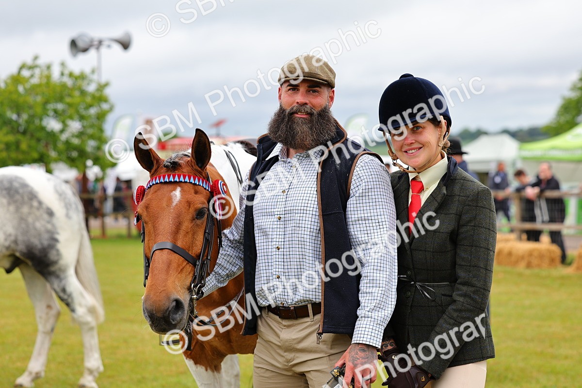 SBM_02535 - Class 9-11 Side Saddle including LIHS Rising Star Ladies Show Horse