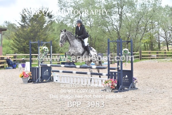 BPP_3983 - CLASS 3 0.85m Amateur Championship Qualifier