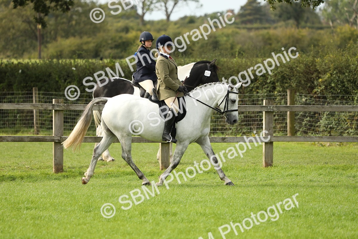 SBM_71487 - S41 - Ridden Equitation (Best Rider)