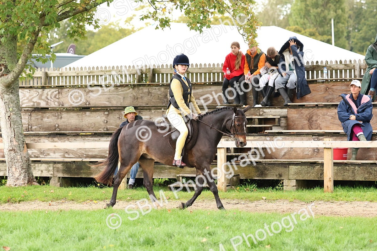 SBM_44975 - S27 - Young Veteran Ridden