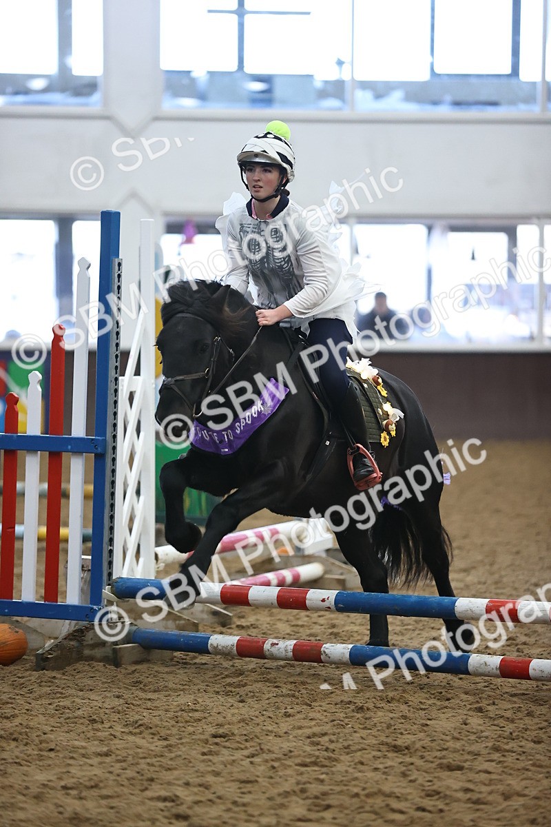 SBM_000296 - Class 2 - Show Jumping 50cm